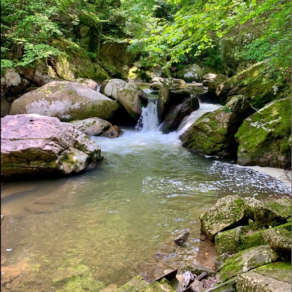 Meet your Posher, Madison - Picture 3 of 3